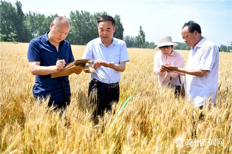 汝河湾富硒水果（富硒水源地）-硒宝网