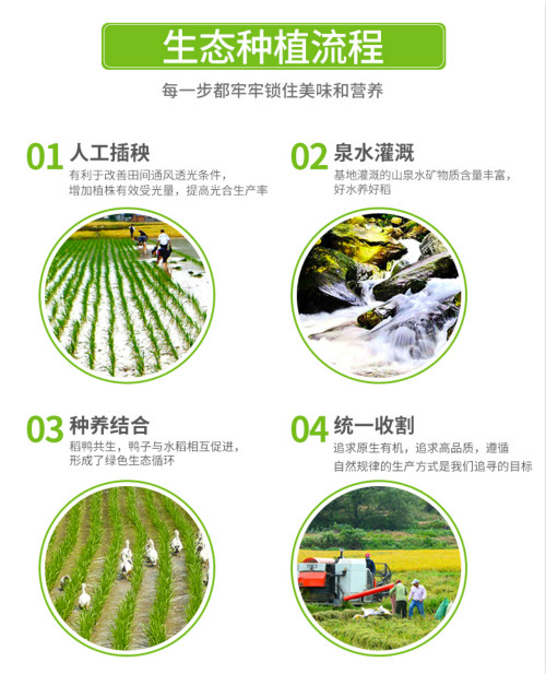 纯天然富硒水果(水果天然纯富硒好吗)-硒宝网