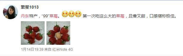 草莓是富硒水果(草莓含硒)-硒宝网
