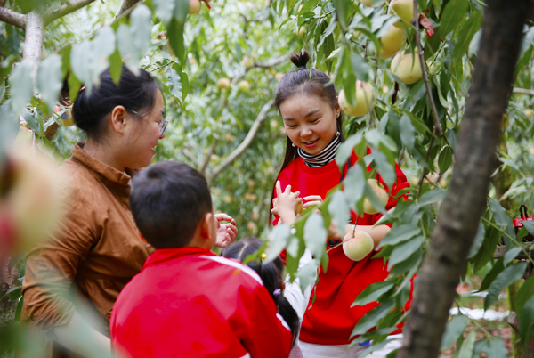 桓台富硒水果树（富硒水果前十名）-硒宝网