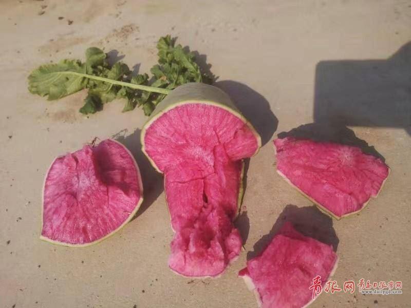 富硒水果红萝卜（萝卜水果红富硒怎么吃）-硒宝网