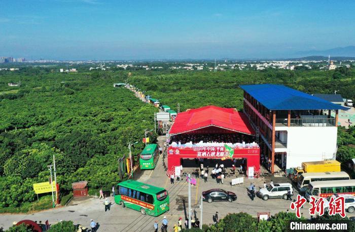 贵港市富硒水果(贵港富硒土壤分布图)-硒宝网