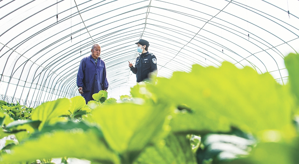 富硒水果树价格(富硒水果标准)-硒宝网