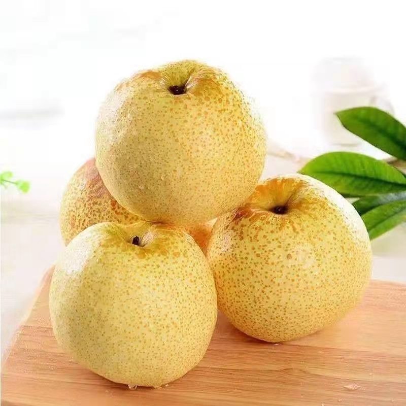 富硒梨水果批发(梨副产品)-硒宝网