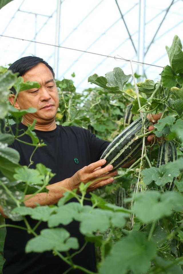 张店富硒水果树（富硒水果的国家标准是多少）-硒宝网