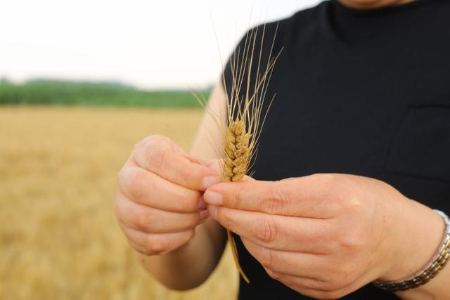 张店富硒水果树（富硒水果的国家标准是多少）-硒宝网