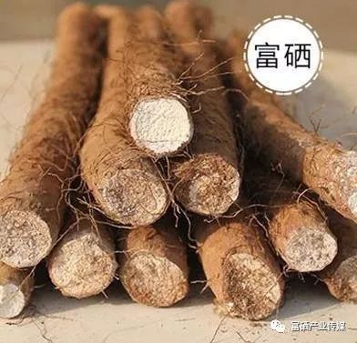 天然的富硒水果（富硒水果一览表）-硒宝网