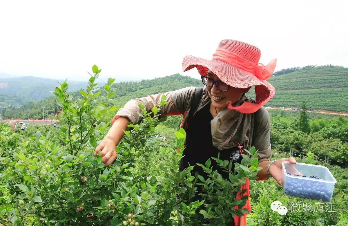 哪些水果含富硒(水果含富硒的标准是多少)-硒宝网