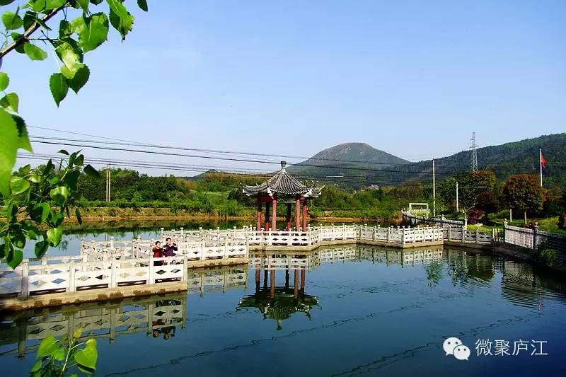 哪些水果含富硒(水果含富硒的标准是多少)-硒宝网