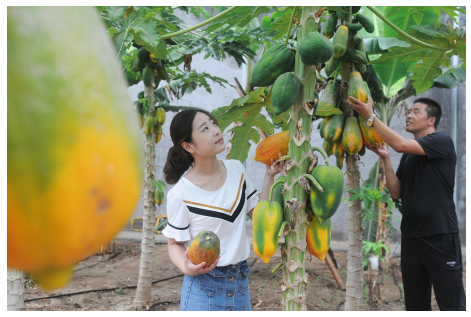 皖北富硒水果园（安徽有个富硒水村地方）-硒宝网