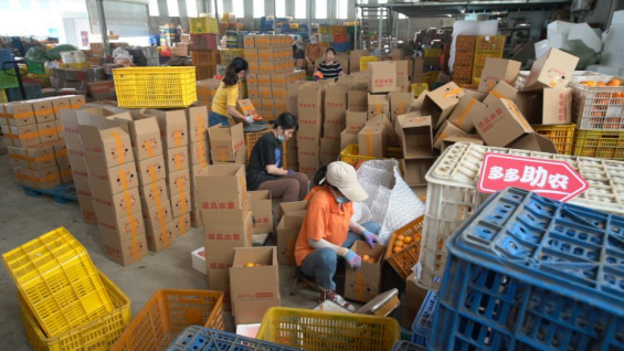 天然的富硒水果(富硒水果的好处)-硒宝网