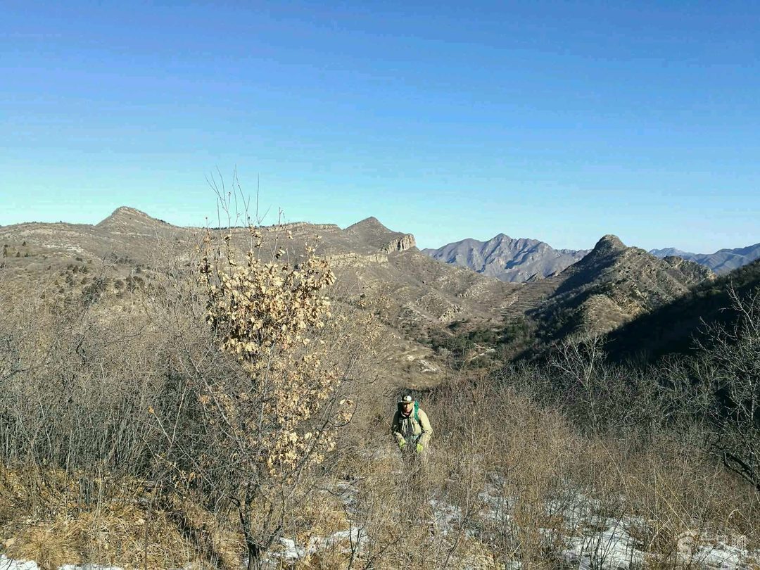 富硒水果苗价格(富硒水果种植技术)-硒宝网