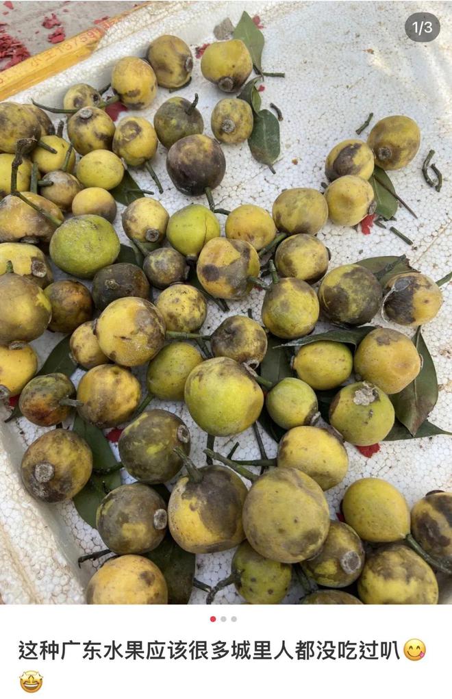 富硒水果怎么养(富硒的水果蔬菜有哪些)-硒宝网