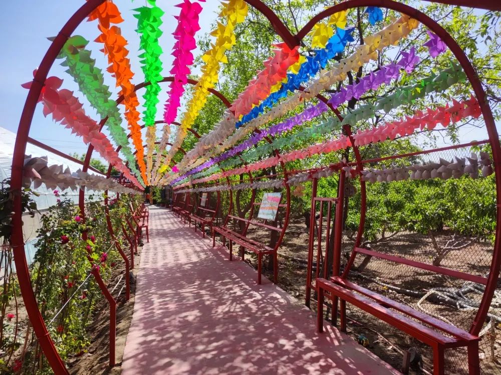 富硒特产水果店(富硒水果前十名)-硒宝网