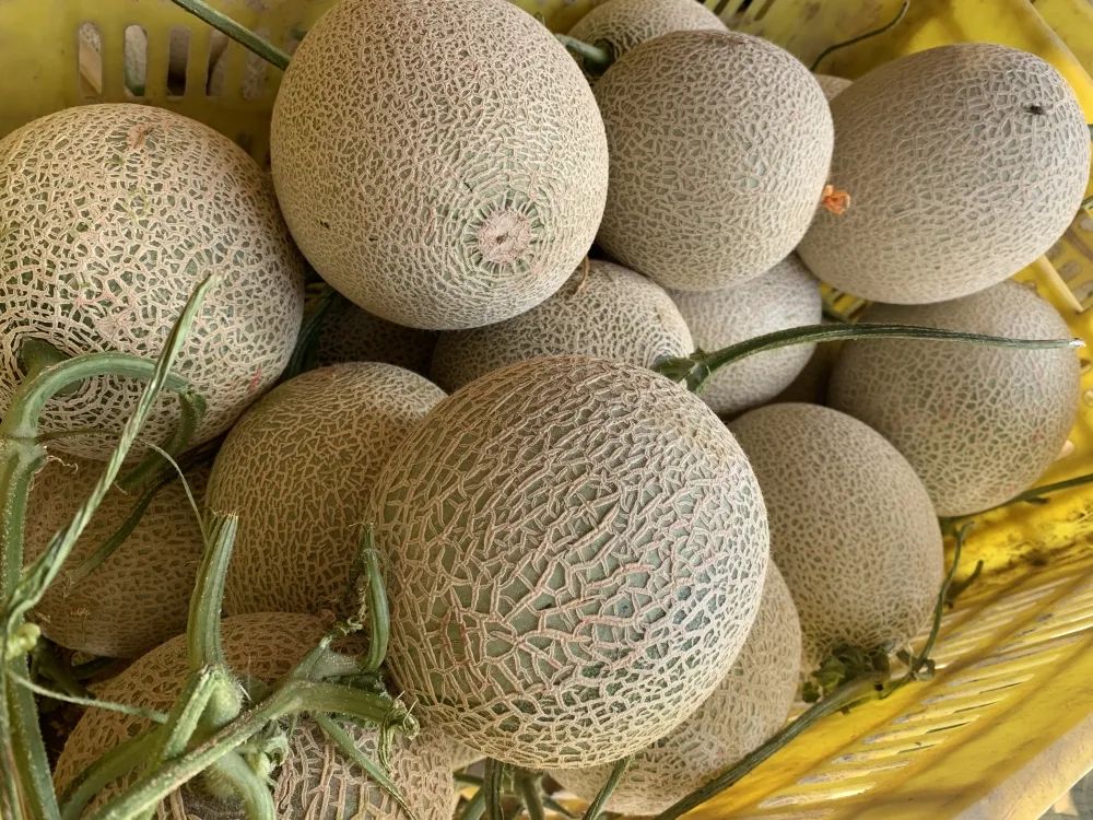 富硒特产水果店(富硒水果前十名)-硒宝网