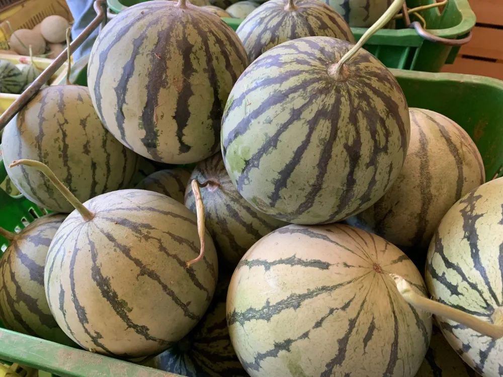 富硒特产水果店(富硒水果前十名)-硒宝网