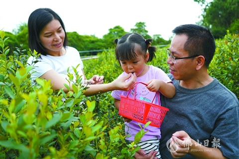 如何让水果富硒（富硒的水果）-硒宝网