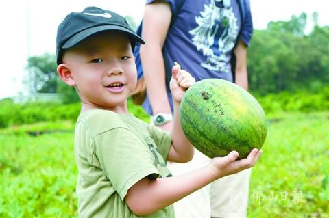 如何让水果富硒（富硒的水果）-硒宝网