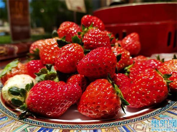 草莓是富硒水果(水果草莓富硒是什么意思)-硒宝网