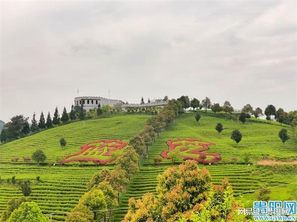 草莓是富硒水果(水果草莓富硒是什么意思)-硒宝网