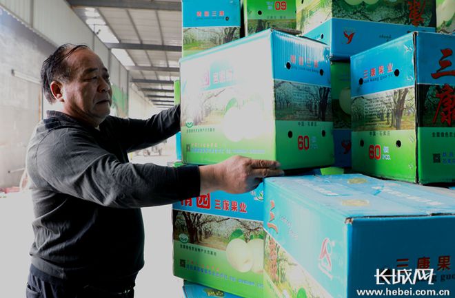 推广水果富硒梨(梨的推广方案)-硒宝网