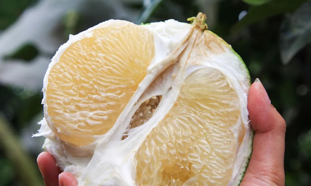 富硒第一的水果(水果富硒食品国家标准)-硒宝网