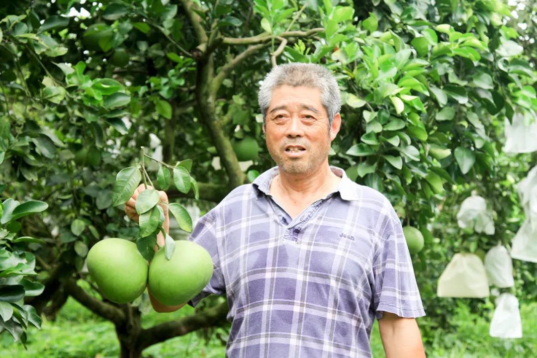 富硒第一的水果(水果富硒食品国家标准)-硒宝网