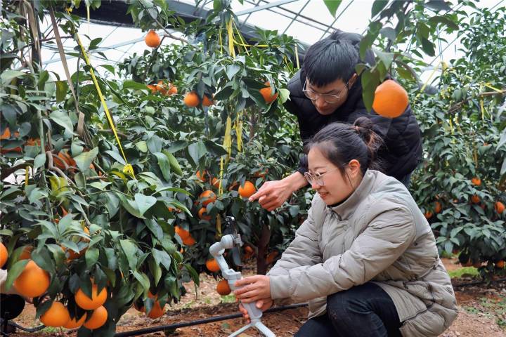 蒋堂镇富硒水果（富硒果园）-硒宝网