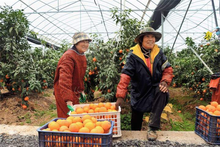 蒋堂镇富硒水果（富硒果园）-硒宝网