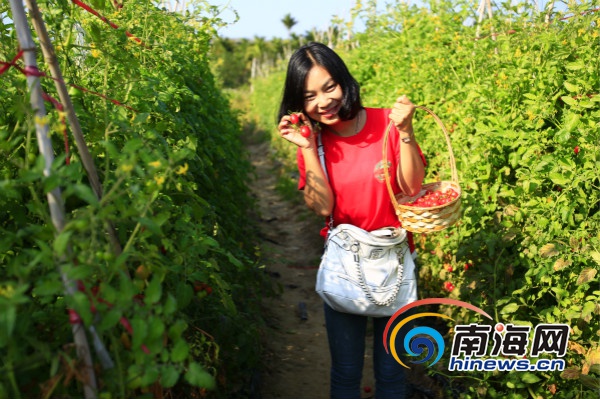 富硒水果产业园（富硒水果标准）-硒宝网