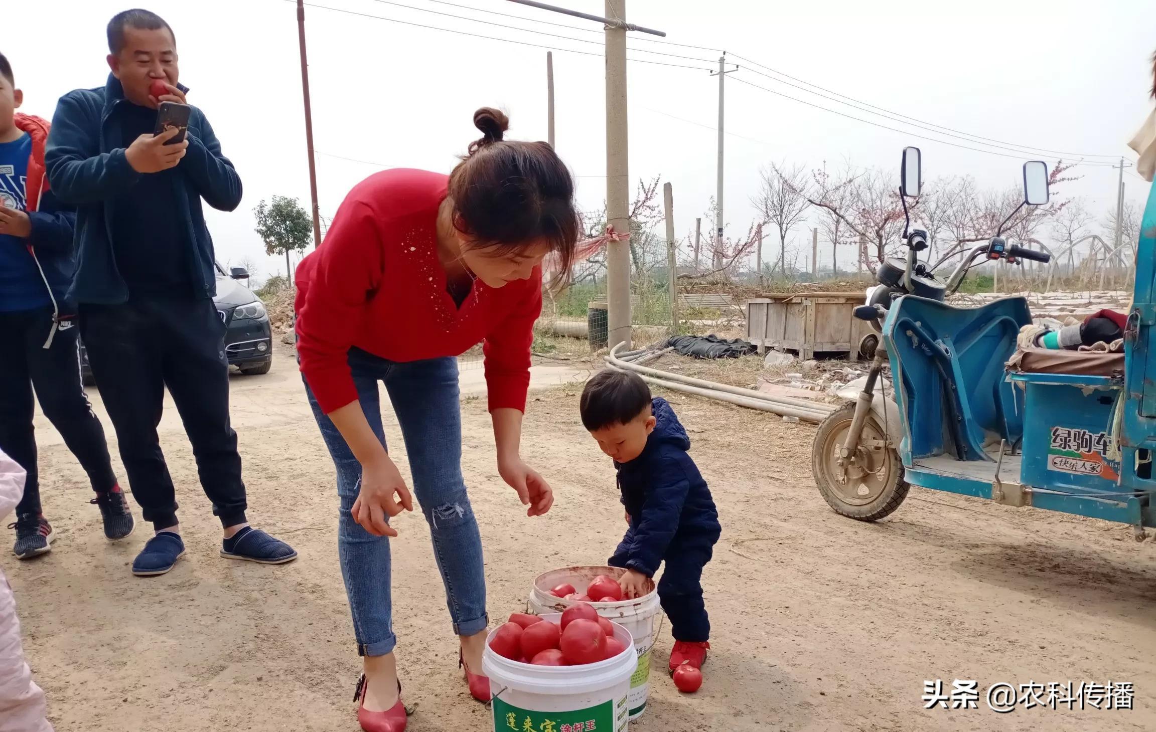 富硒水果的意思(富硒类蔬菜水果)-硒宝网