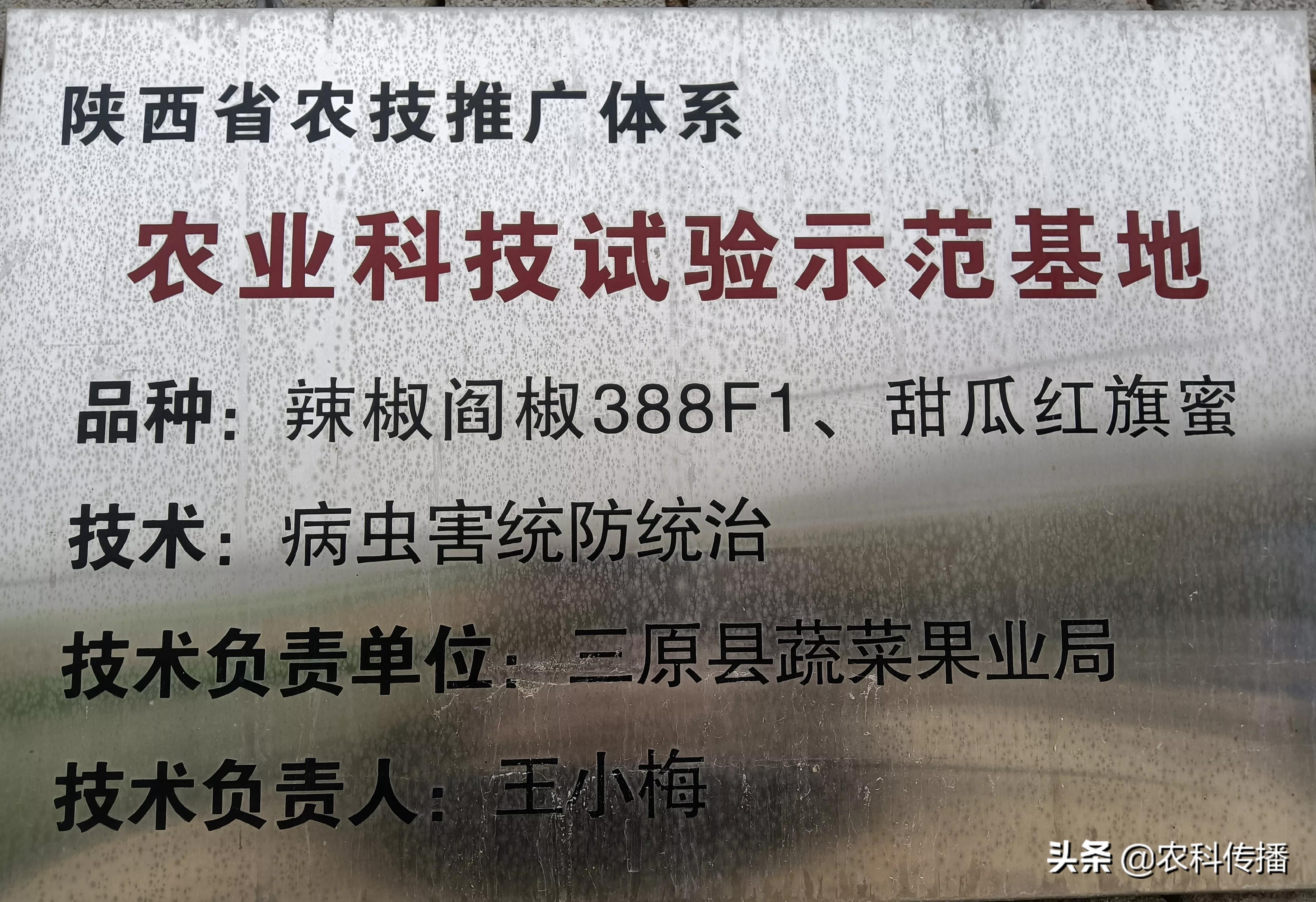 富硒水果的意思(富硒类蔬菜水果)-硒宝网