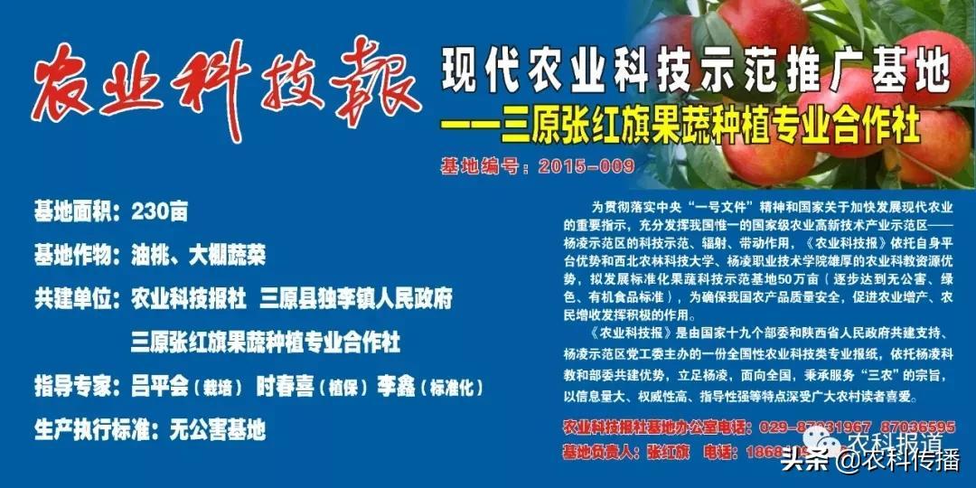 富硒水果的意思(富硒类蔬菜水果)-硒宝网