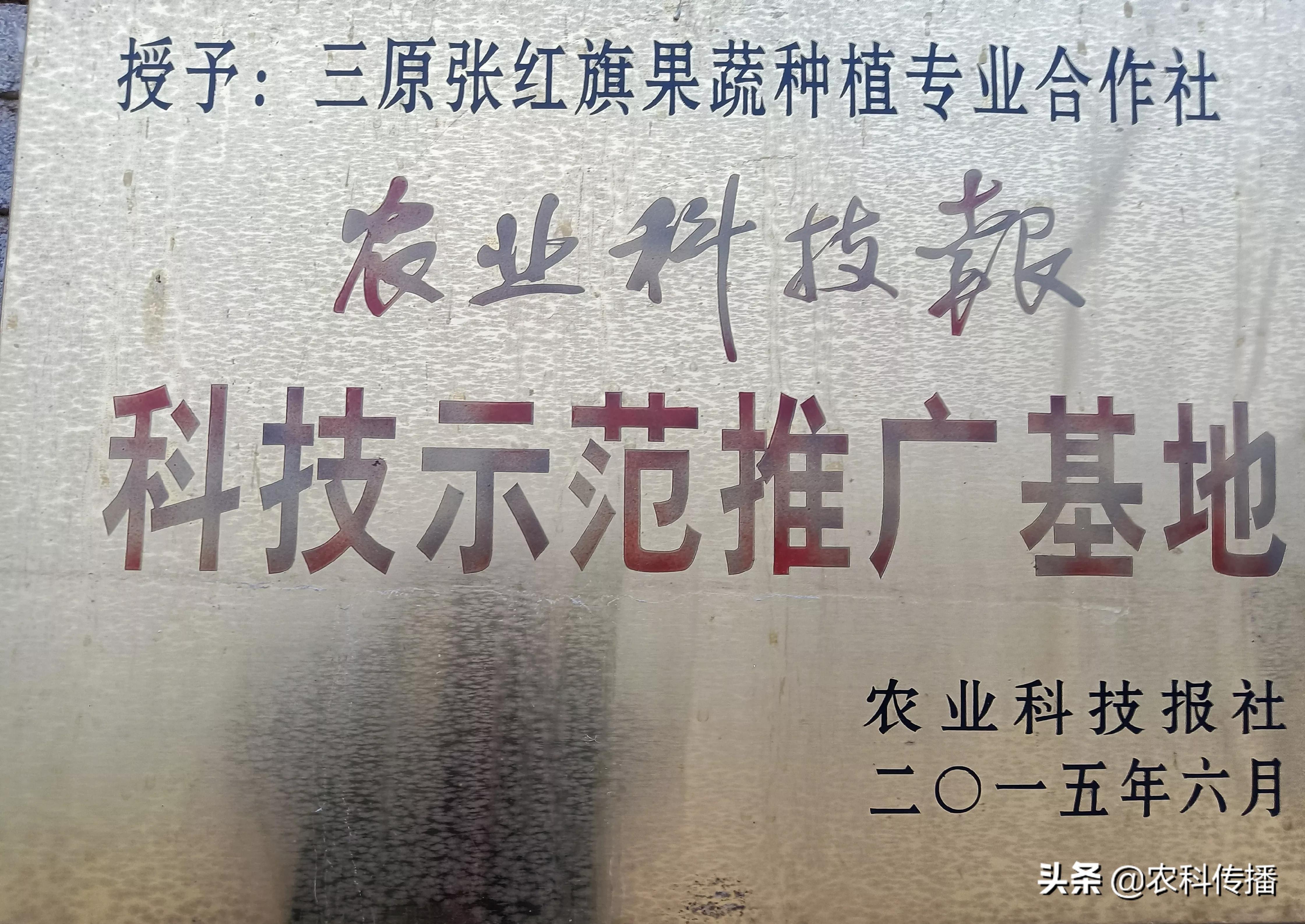 富硒水果的意思(富硒类蔬菜水果)-硒宝网