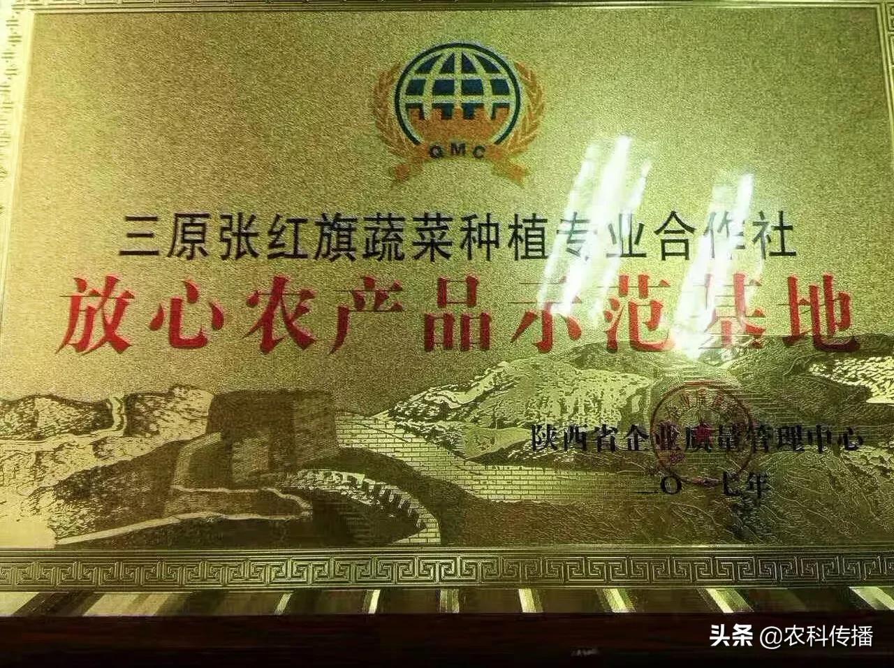 富硒水果的意思(富硒类蔬菜水果)-硒宝网