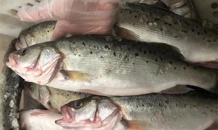 富硒水果排行榜(富硒水果的国家标准是多少)-硒宝网