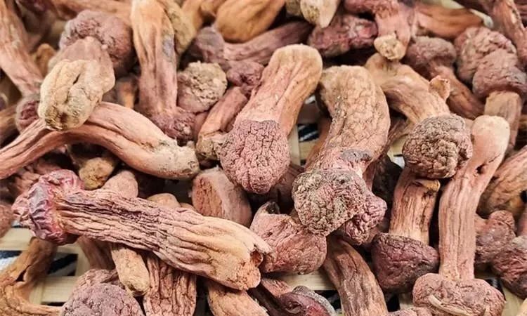 富硒水果排行榜(富硒水果的国家标准是多少)-硒宝网