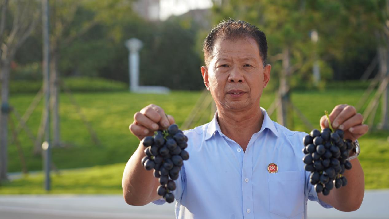 水果店富硒葡萄(富硒葡萄和普通葡萄的区别)-硒宝网