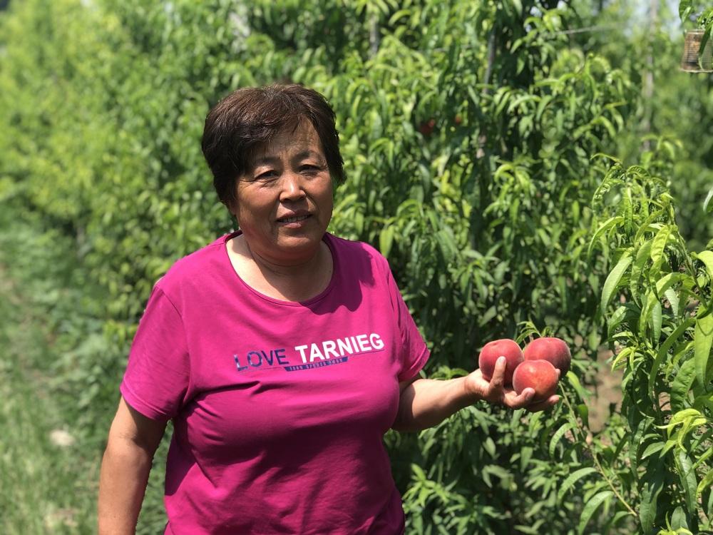 富硒水果怎么做（富硒果蔬）-硒宝网