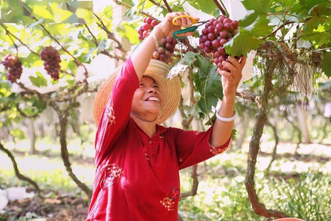 龙胜县富硒水果（富硒果园）-硒宝网