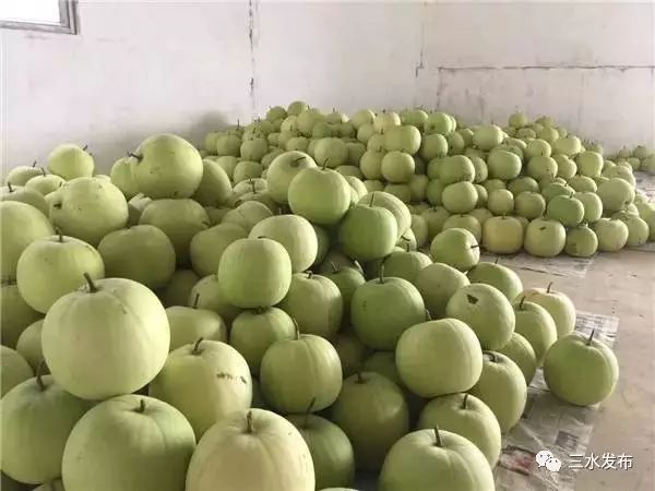 十大富硒的水果(水果富硒的成本造价)-硒宝网