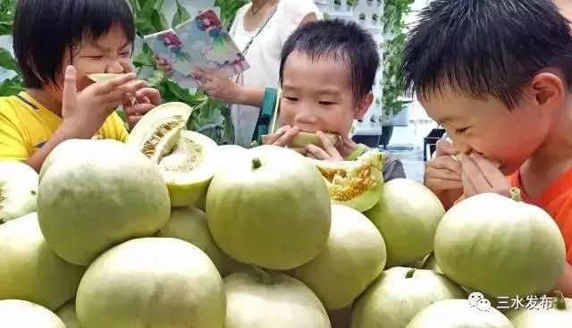 十大富硒的水果(水果富硒的成本造价)-硒宝网