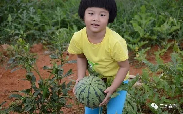 十大富硒的水果(水果富硒的成本造价)-硒宝网
