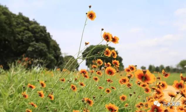 十大富硒的水果(水果富硒的成本造价)-硒宝网
