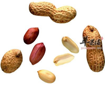 富硒第一名水果（水果富硒标准）-硒宝网