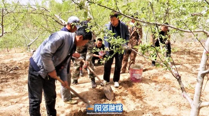 十大富硒的水果（水果富硒有机无公害的认证）-硒宝网