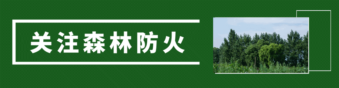 十大富硒的水果（水果富硒有机无公害的认证）-硒宝网