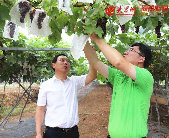 水果店富硒葡萄（富硒葡萄的口感）-硒宝网