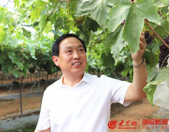 水果店富硒葡萄（富硒葡萄的口感）-硒宝网