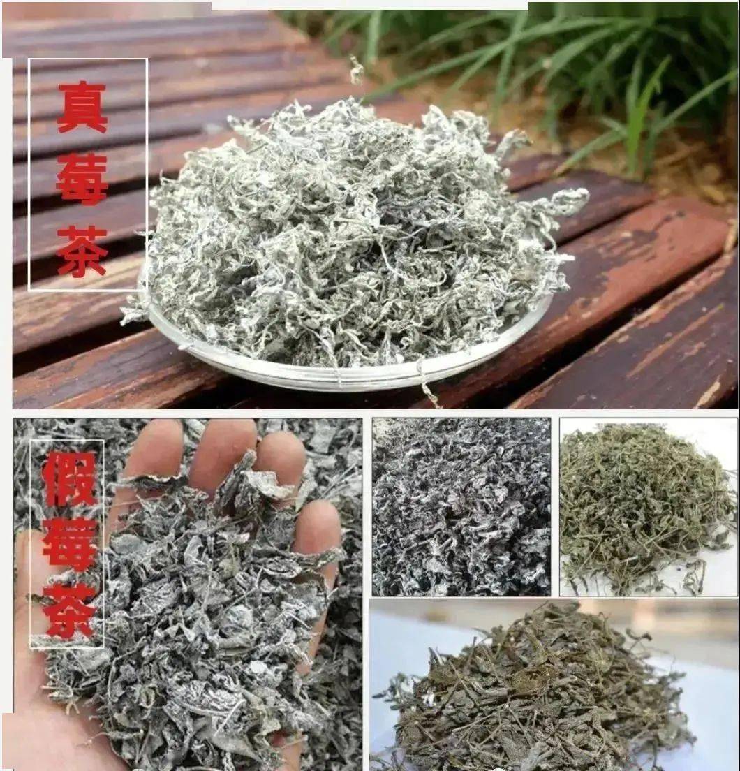 藤匠人富硒莓茶(藤茶视频)-硒宝网